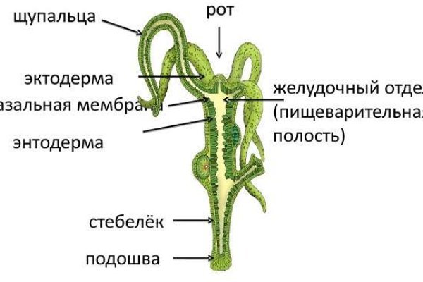 Как вывести с кракена